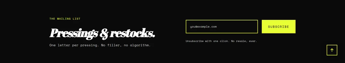 The Newsletter section on a live store